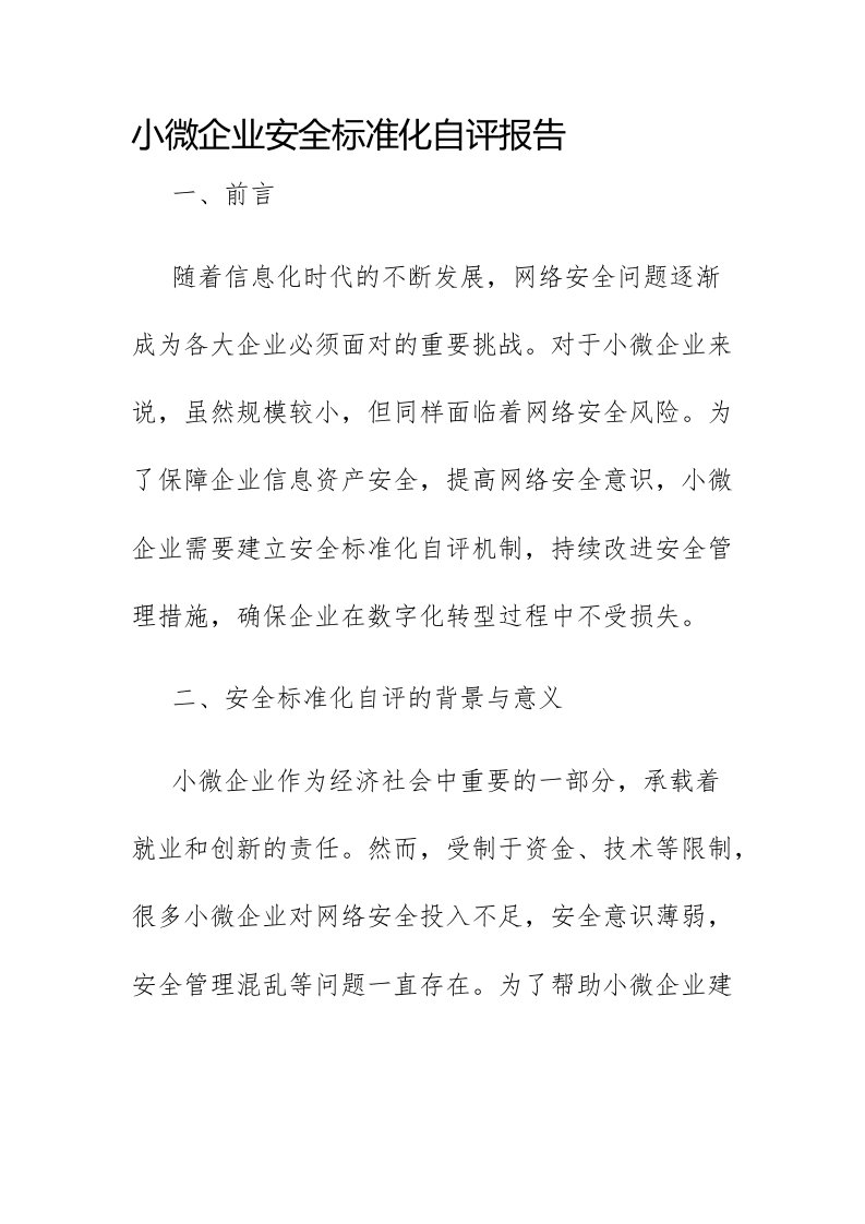 小微企业安全标准化自评报告