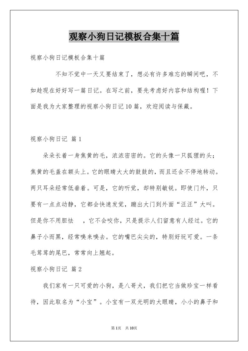 观察小狗日记模板合集十篇