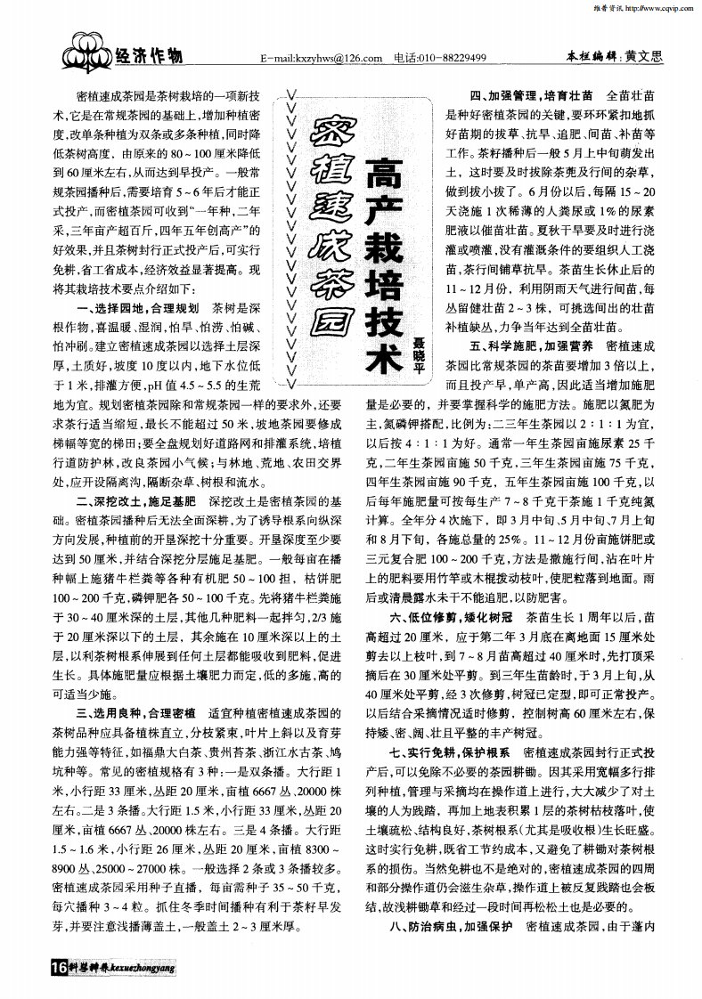 密植速成茶园高产栽培技术.pdf