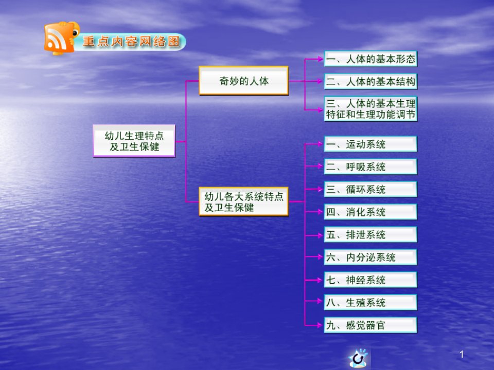 幼儿运动系统生理特点及卫生保健-课件