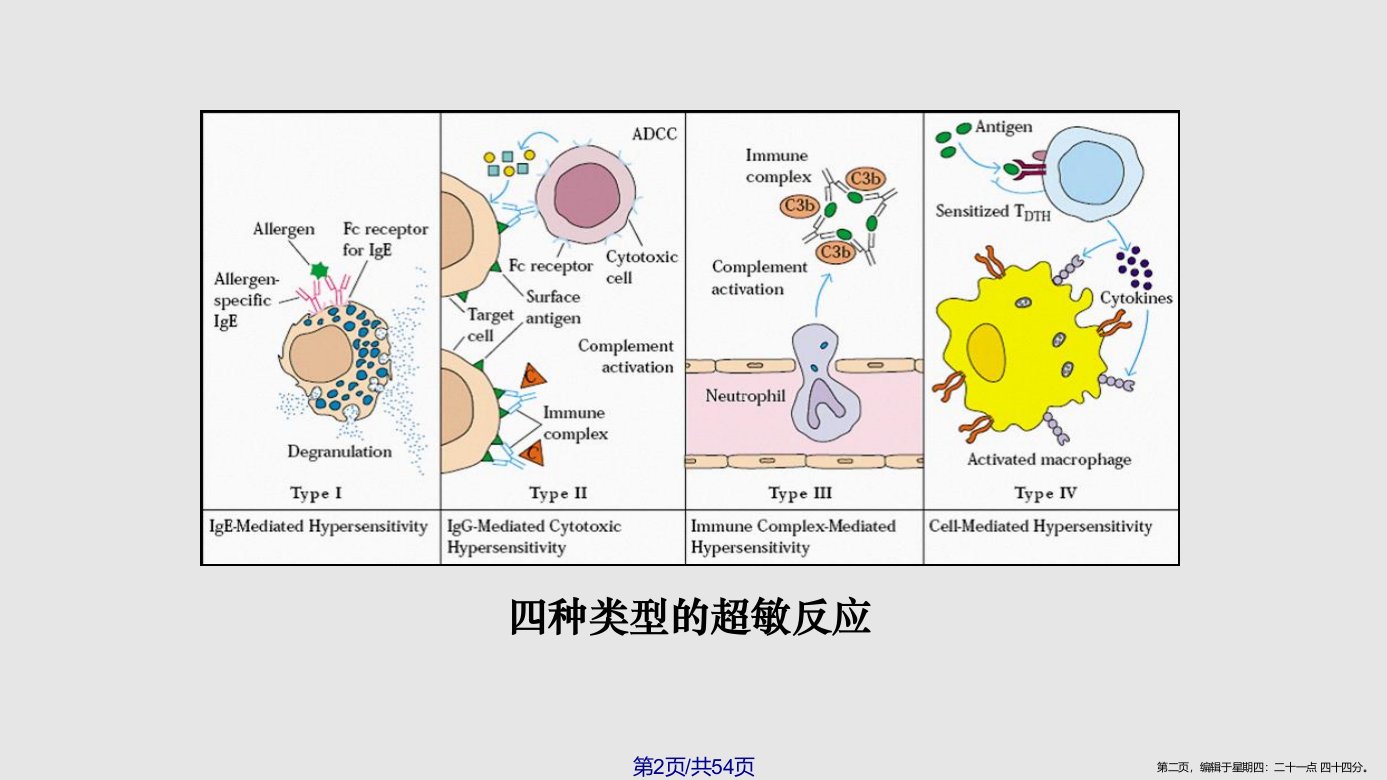 11超敏反应学习