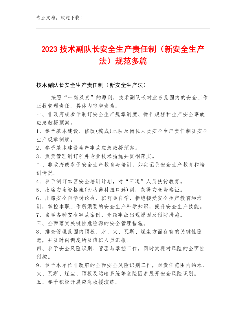 2023技术副队长安全生产责任制（新安全生产法）规范多篇