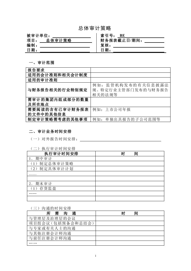 精选2-5-0总体审计策略