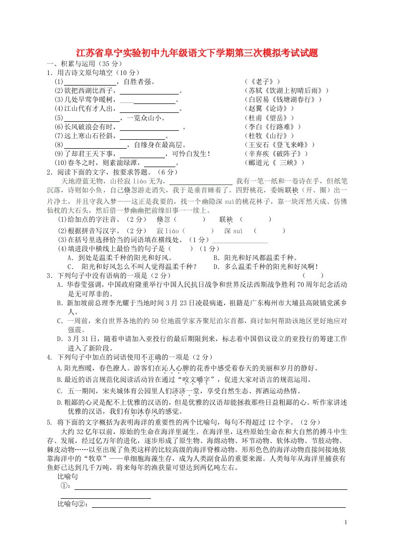 江苏省阜宁实验初中九级语文下学期第三次模拟考试试题