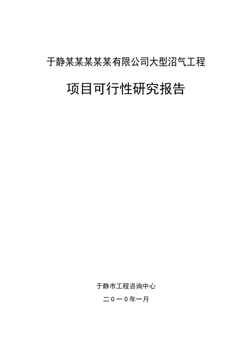 某某某某某有限公司大型沼气工程项目可行性研究报告