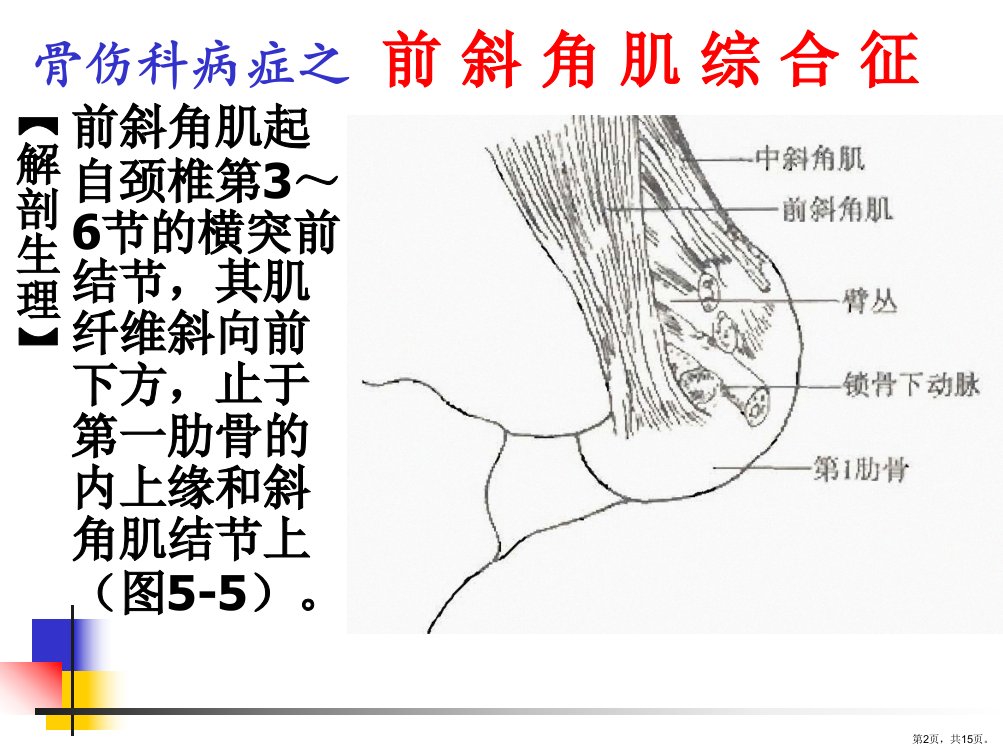 前斜角肌综合征PPT课件PPT15页