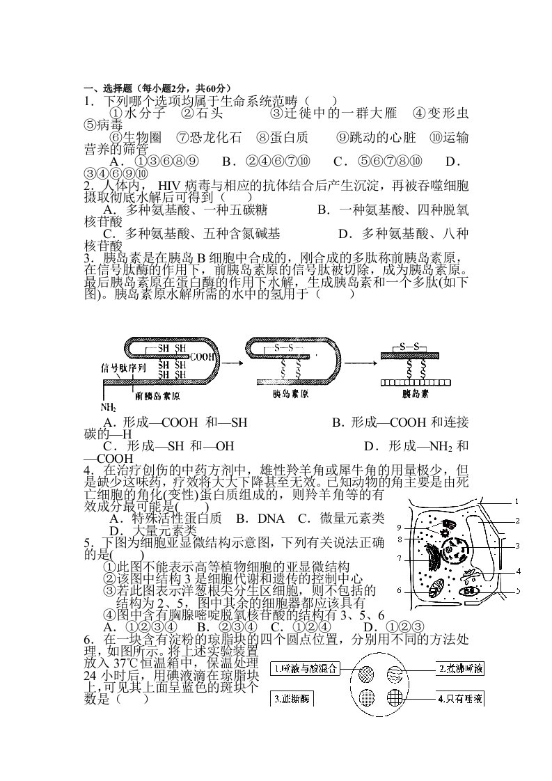 高一生物上册周周练测试题15