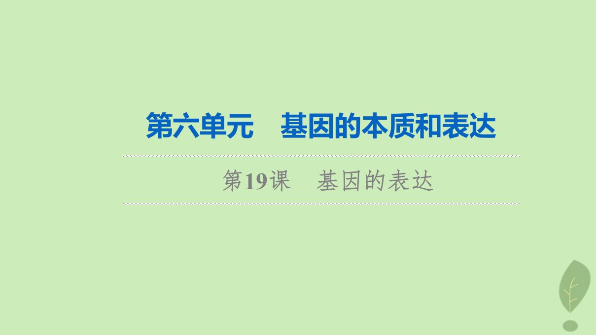 2024版高考生物一轮总复习第6单元基因的本质和表达第19课基因的表达课件