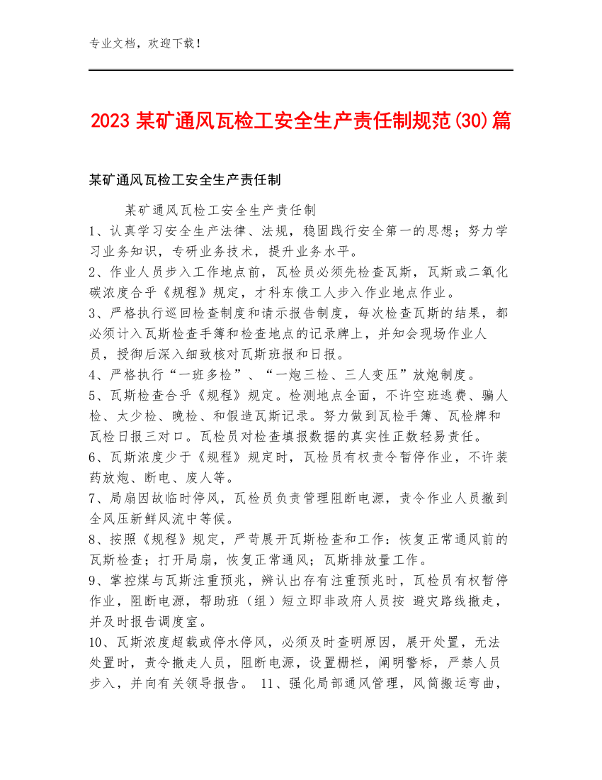 2023某矿通风瓦检工安全生产责任制规范(30)篇