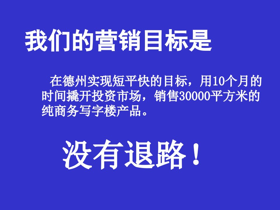 2009山东德州德正国际商务港营销策略执行方案(101P)