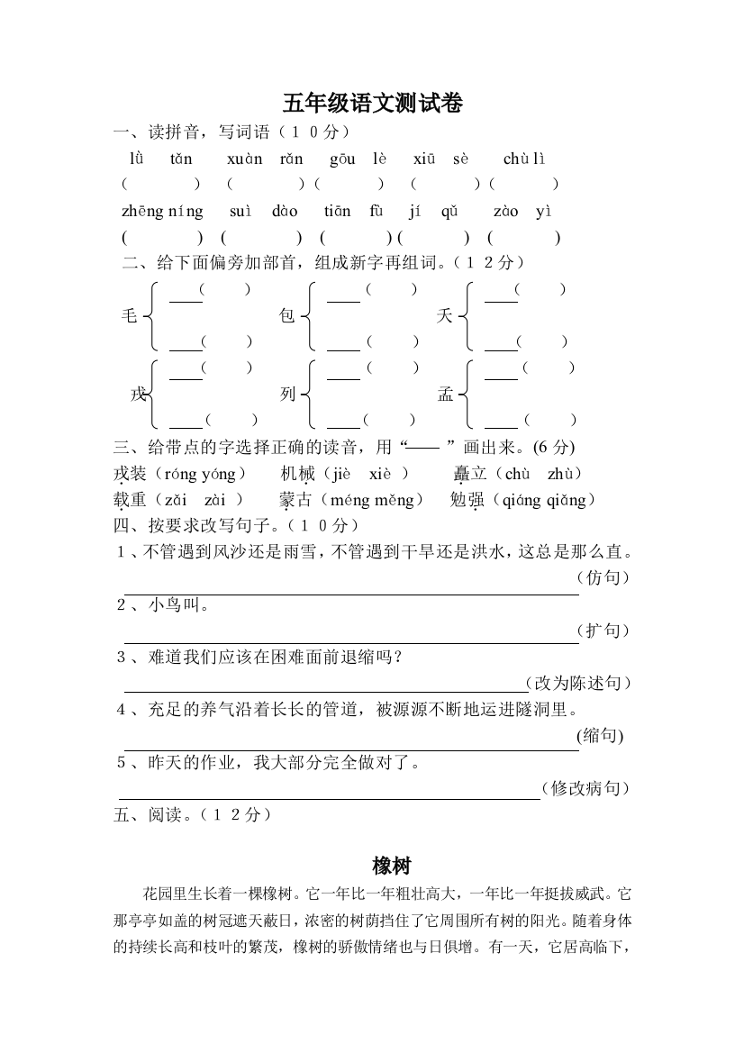 五年级语文测试卷（一）