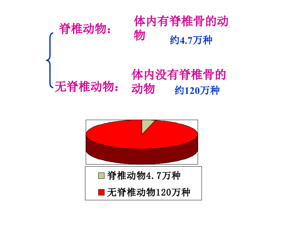 无脊椎动物原生动物草履虫扁形动物