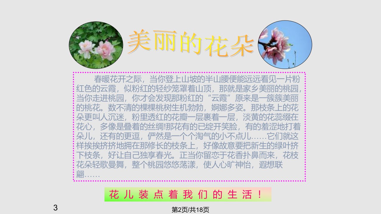 花与我们的生活