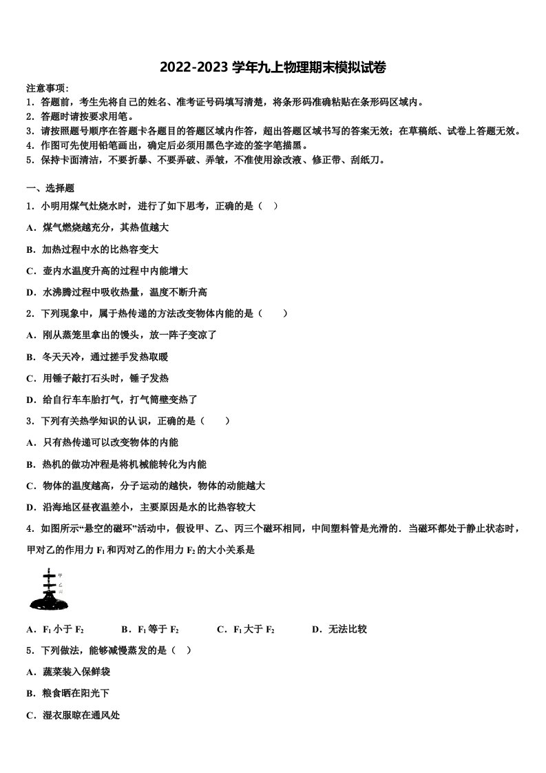 2023届广东省南雄市第二中学九年级物理第一学期期末质量检测试题含解析