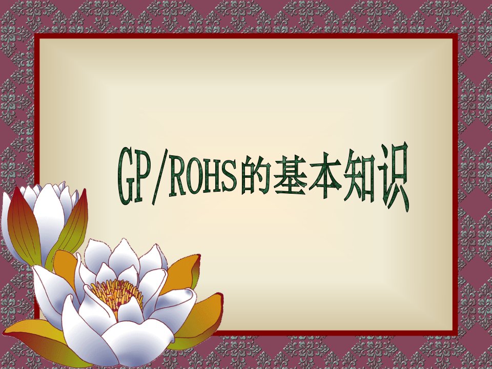 《GP的基本知识》PPT课件