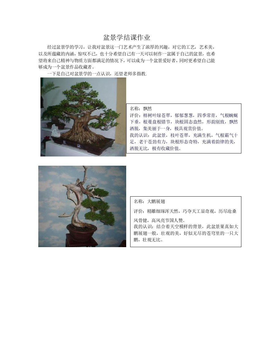 盆景学结课作业