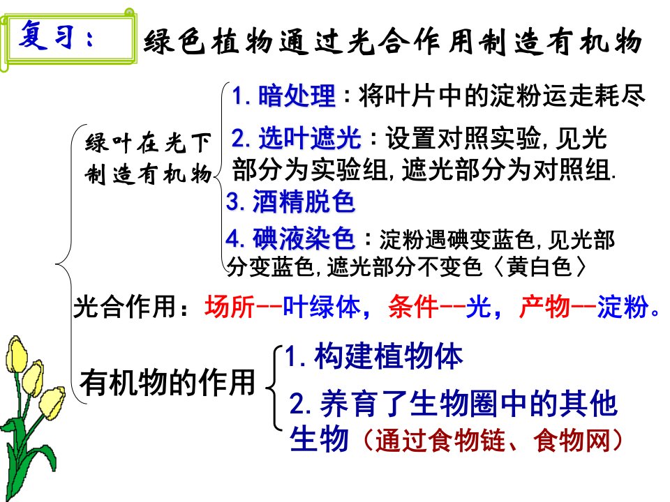 教学课件第一节