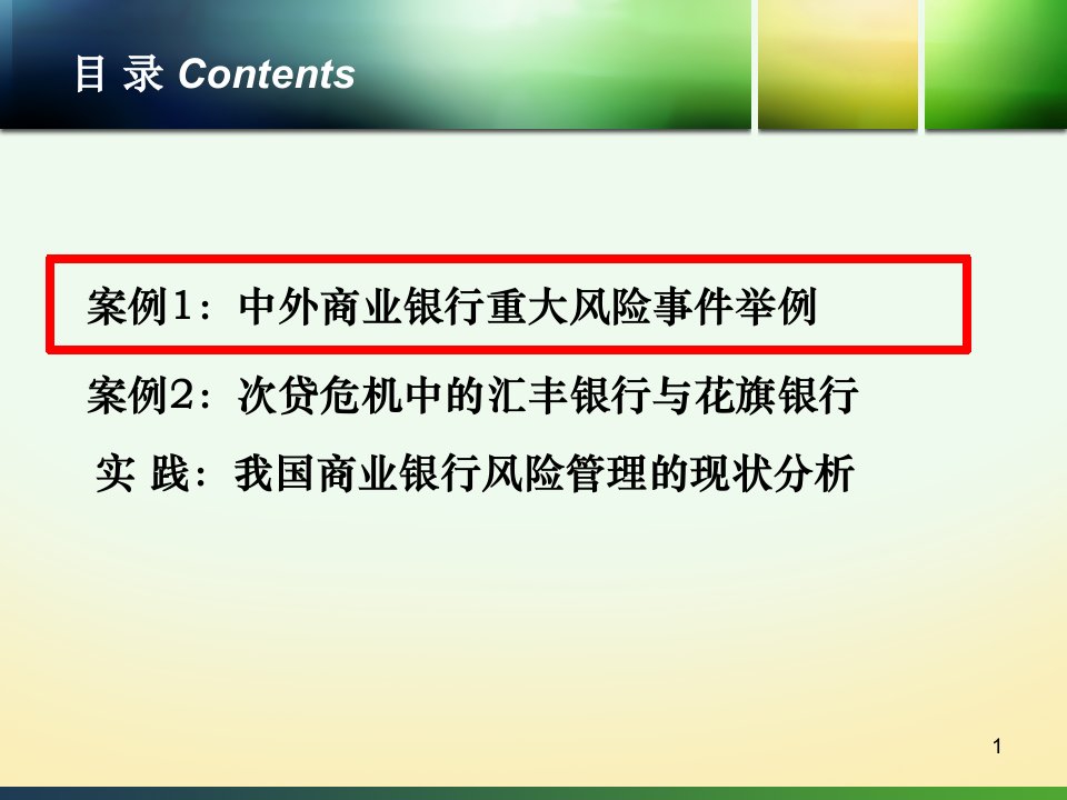 案例和实践金融风险管理