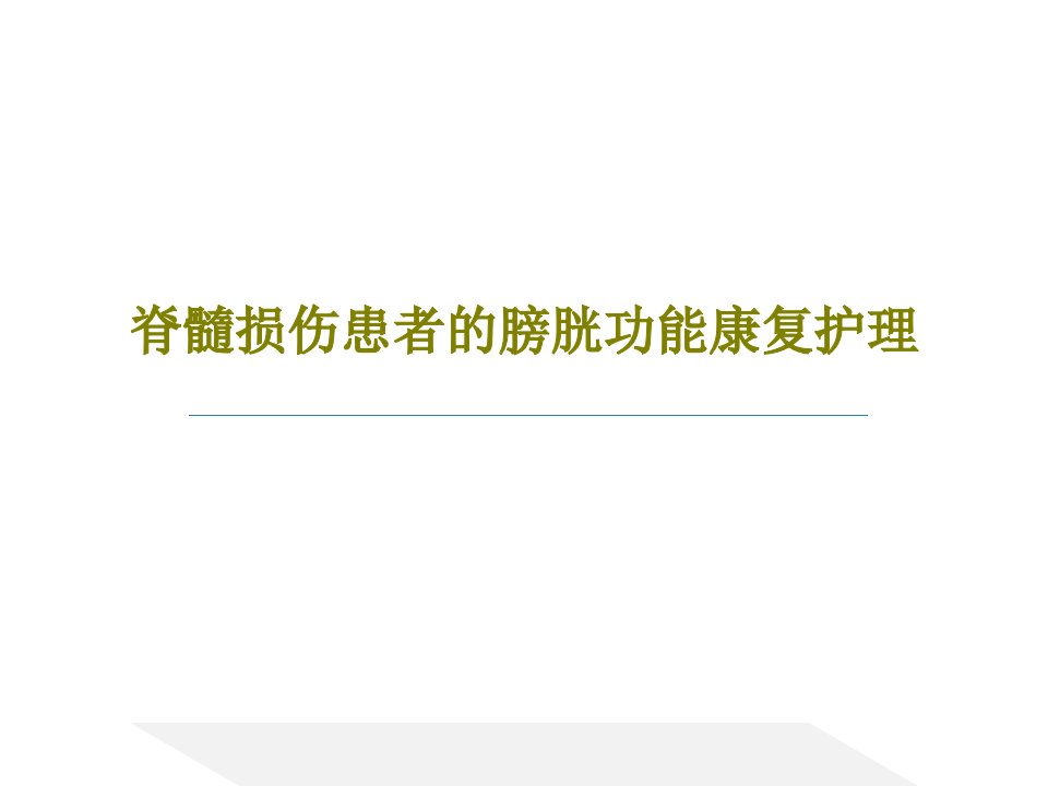 脊髓损伤患者的膀胱功能康复护理PPT文档30页