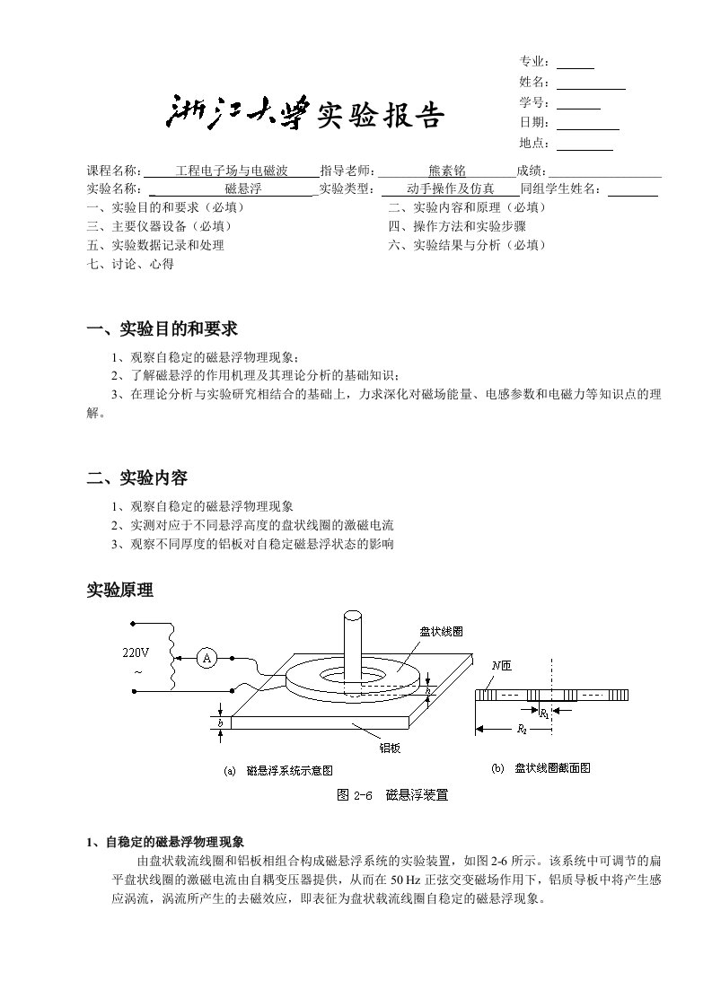 浙江大学工程电子场与电磁波专业课磁悬浮实验报告