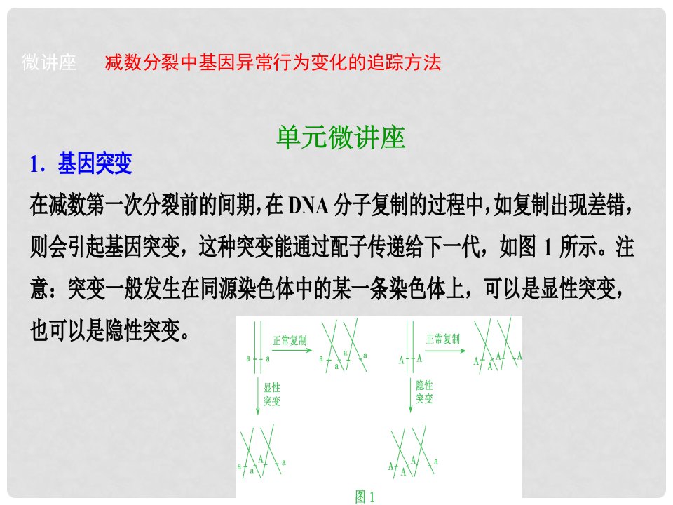 优化探究高考生物一轮复习