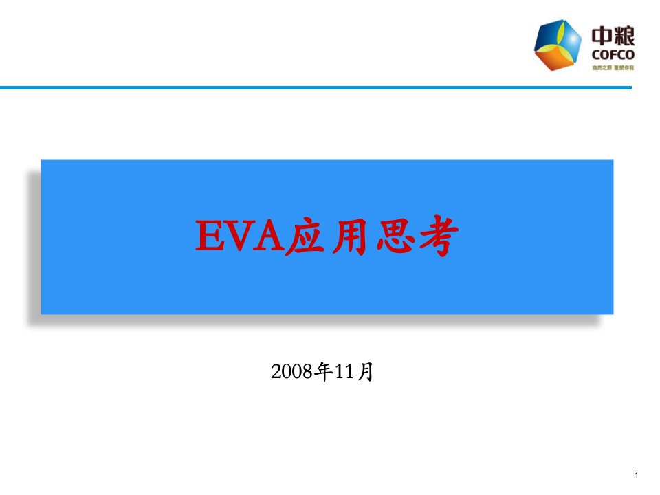 《EVA应用思考》PPT课件