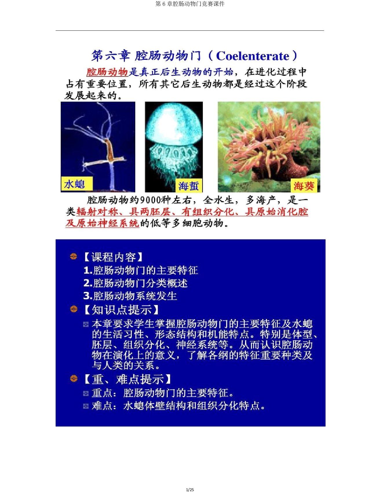 第6章腔肠动物门竞赛课件