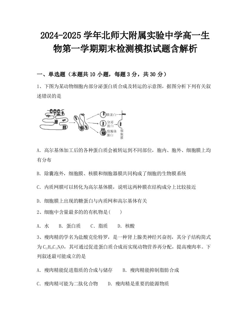 2024-2025学年北师大附属实验中学高一生物第一学期期末检测模拟试题含解析