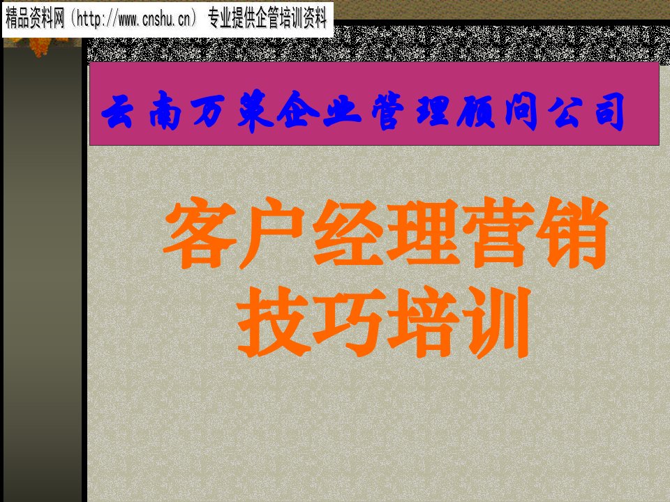 [精选]云南某公司客户经理营销技巧培训