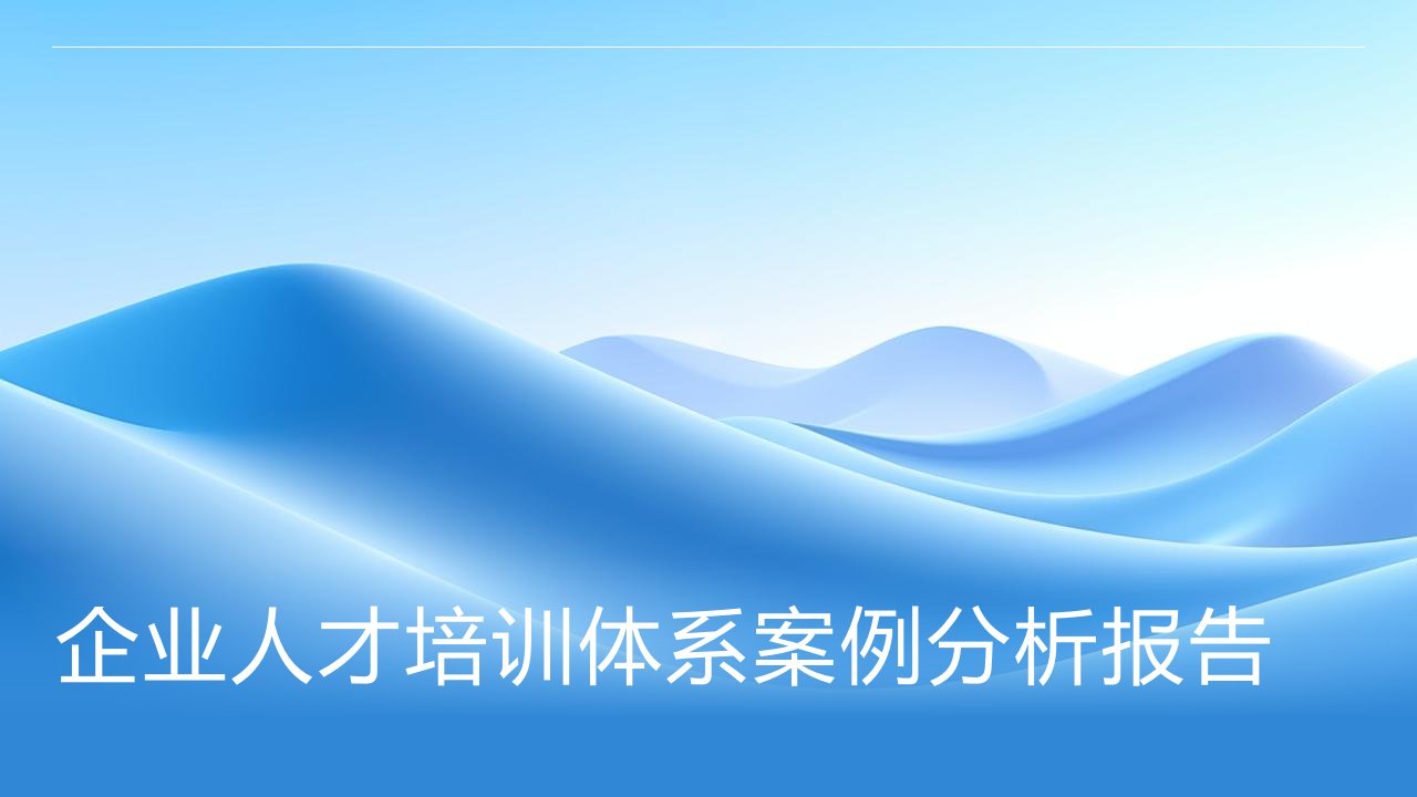 企业人才培训体系案例分析报告