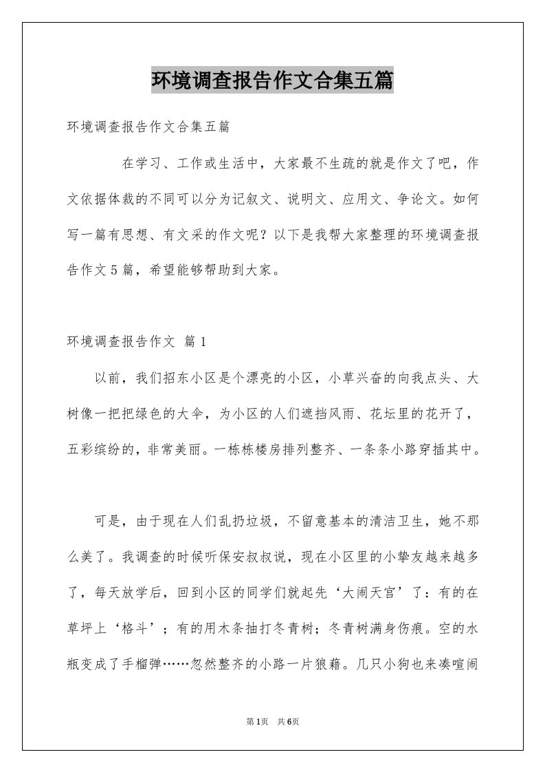 环境调查报告作文合集五篇范本