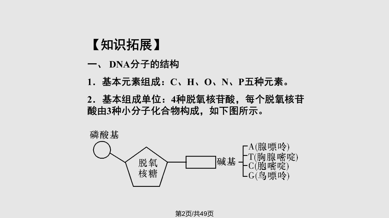 考点一DNA双螺旋结构模型的构建及DNA分子的结构特点