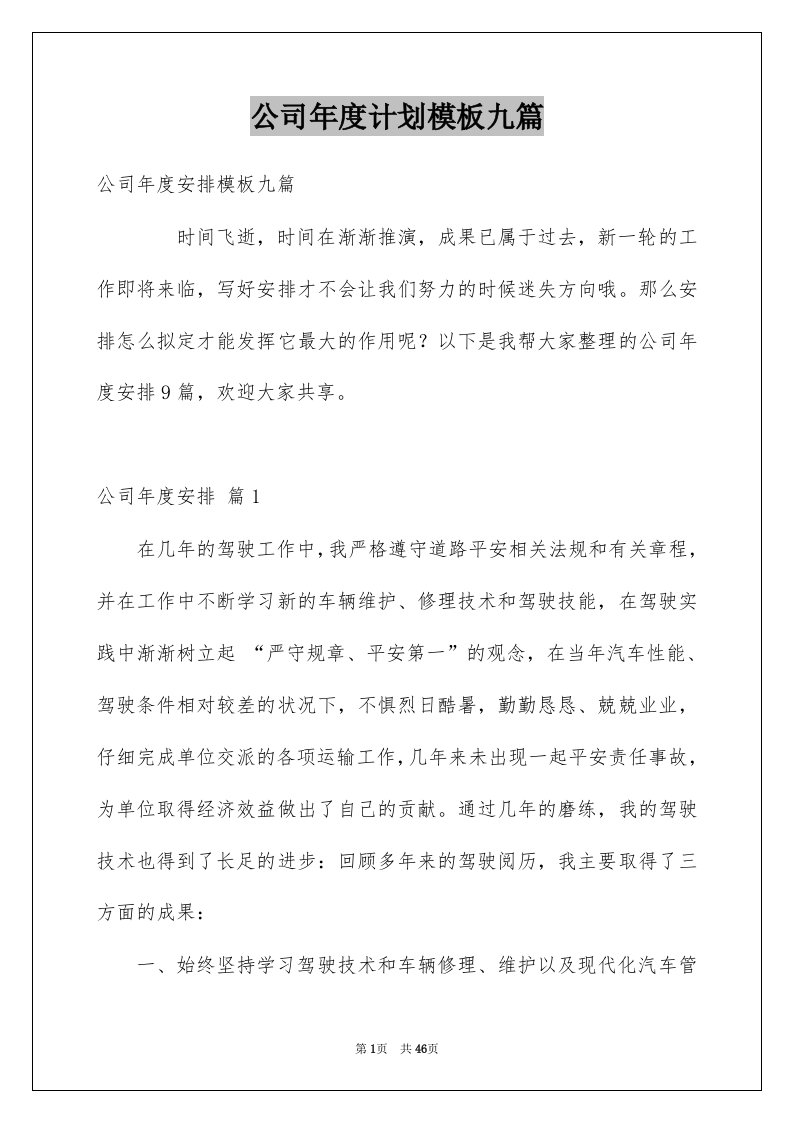 公司年度计划模板九篇