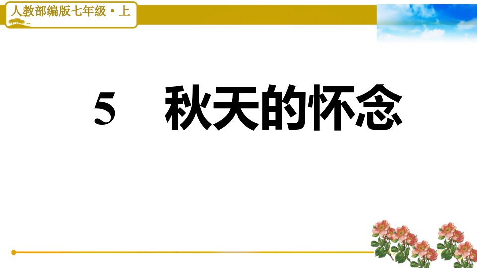 人教七年级语文上册《5秋天的怀念》习题课件