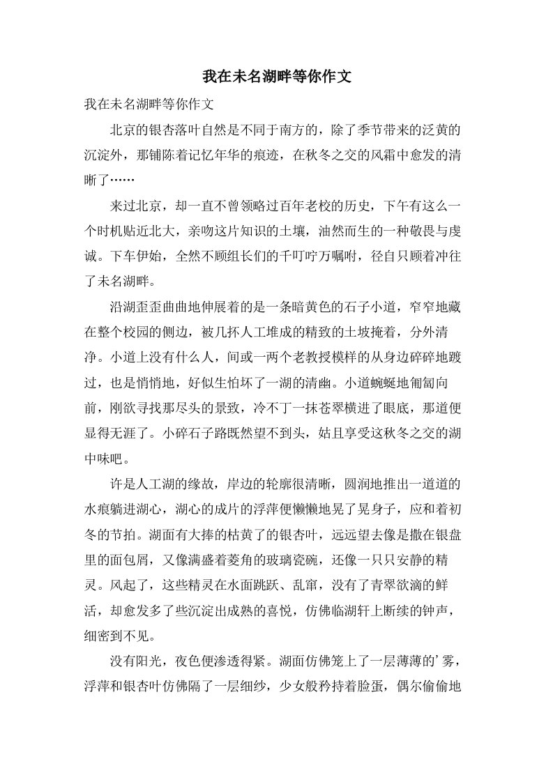 我在未名湖畔等你作文