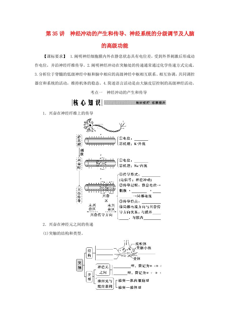 2025届高考生物一轮总复习学生用书选择性必修1第八单元稳态与调节第35讲神经冲动的产生和传导神经系统的分级调节及人脑的高级功能考点一神经冲动的产生和传导