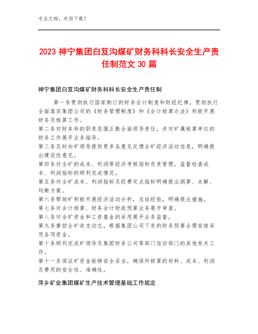 2023神宁集团白芨沟煤矿财务科科长安全生产责任制范文30篇