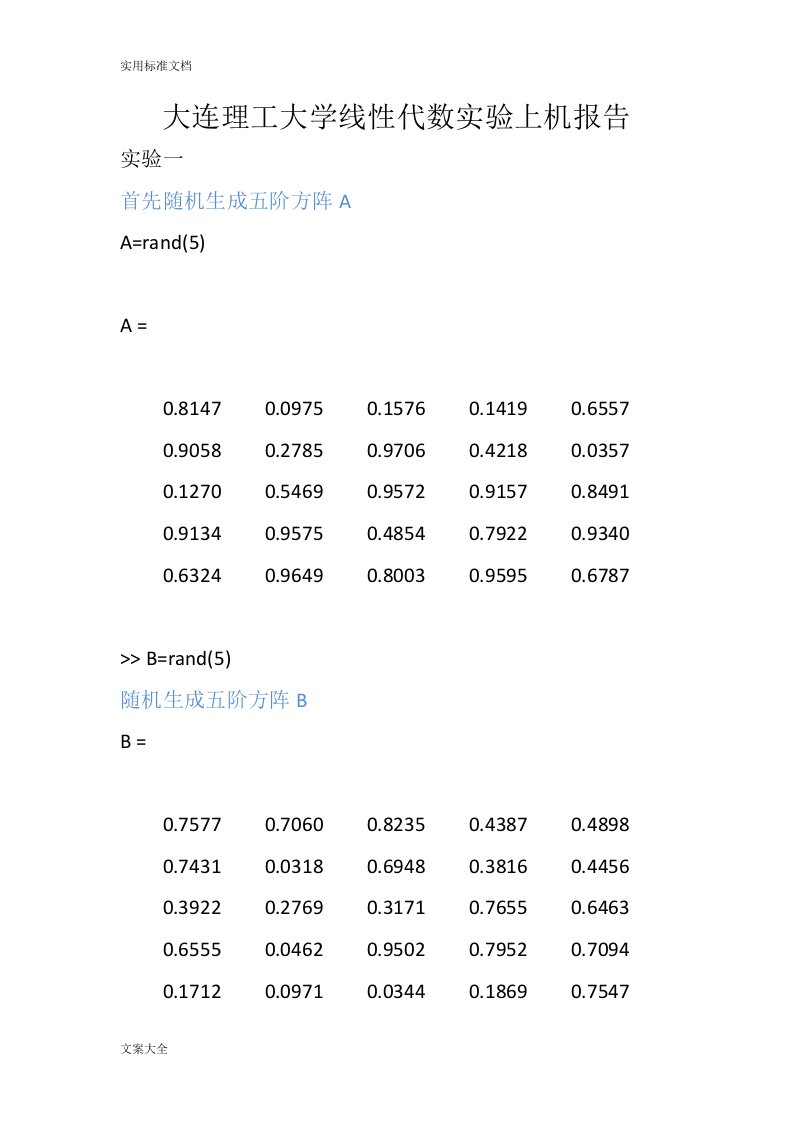 大连理工大学线性代数实验上机报告材料