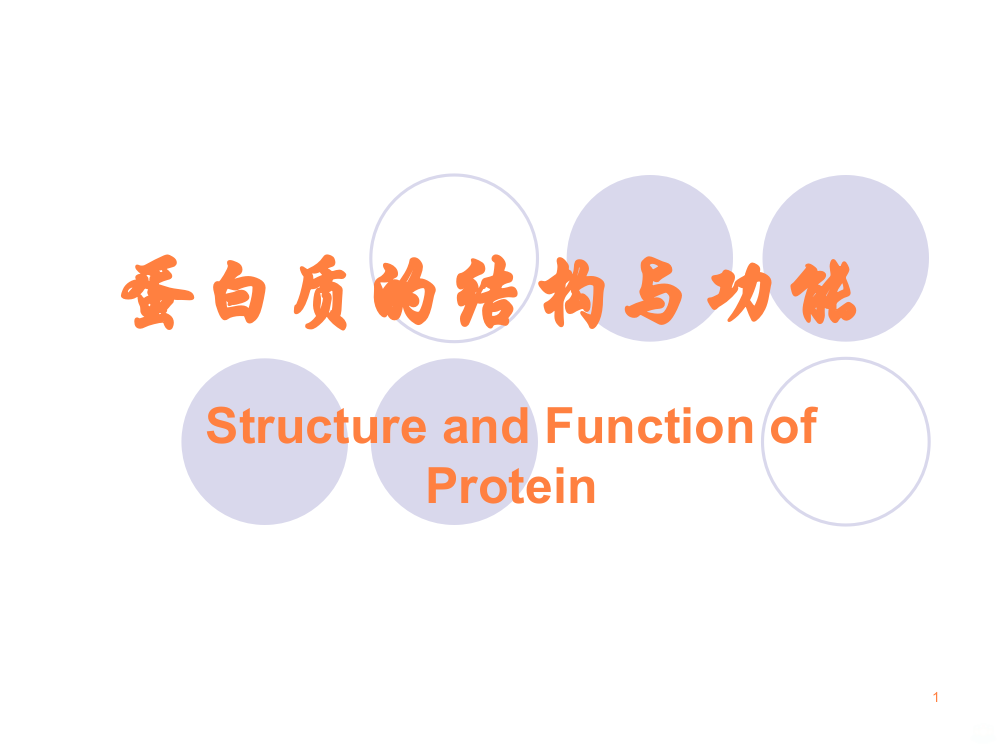 蛋白质和酶20111121专题ppt课件