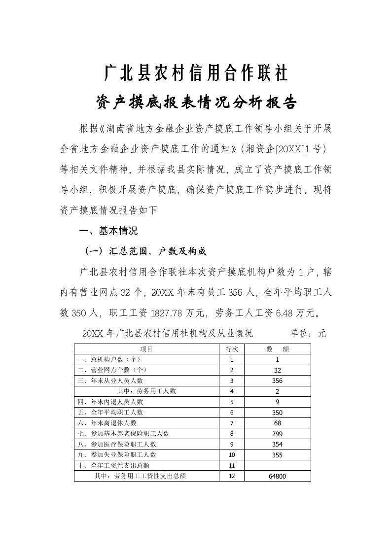 冶金行业-广北县农村信用合作联社资产摸底报表情况分析报告