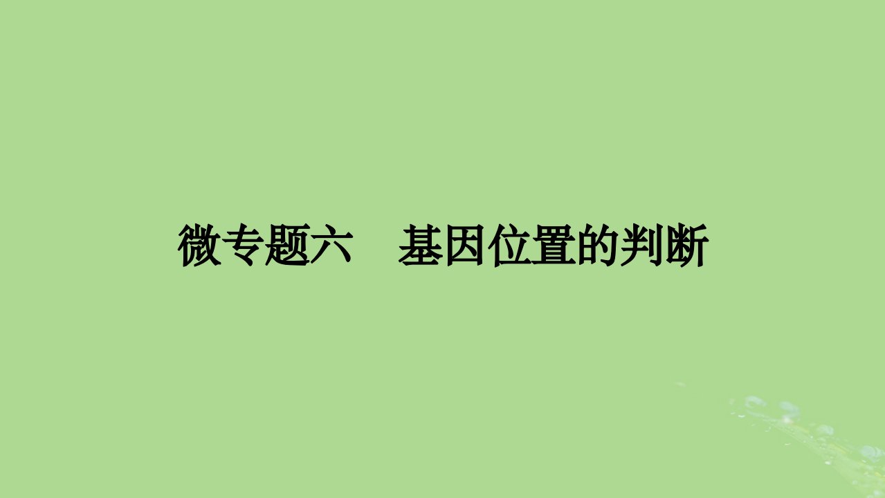 2025版高考生物一轮总复习必修2微专题6基因位置的判断课件