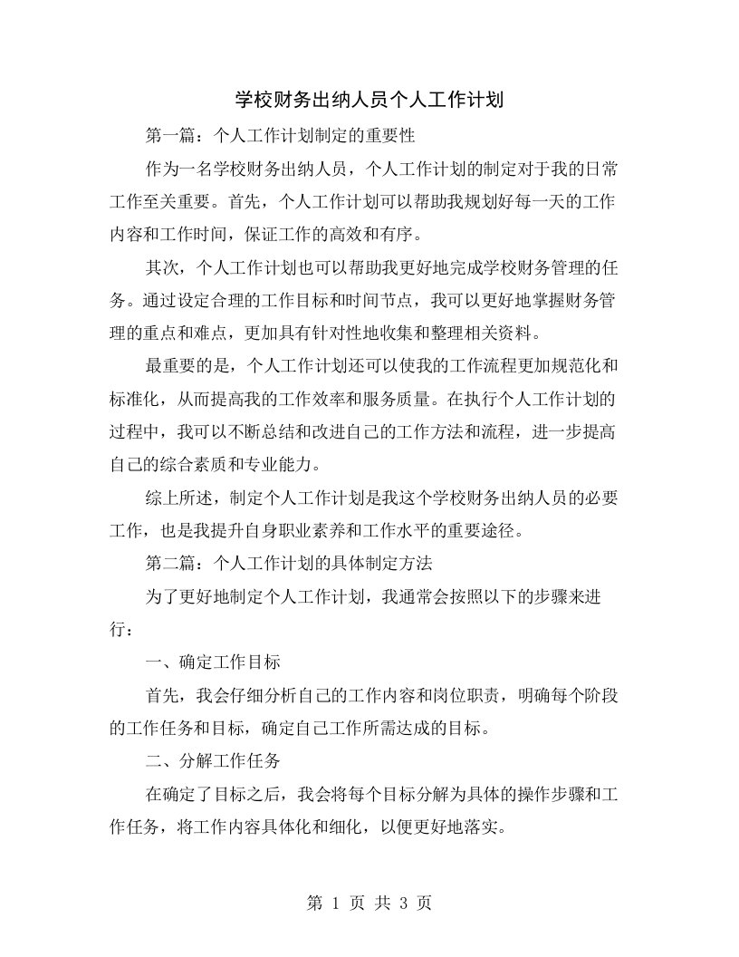 学校财务出纳人员个人工作计划