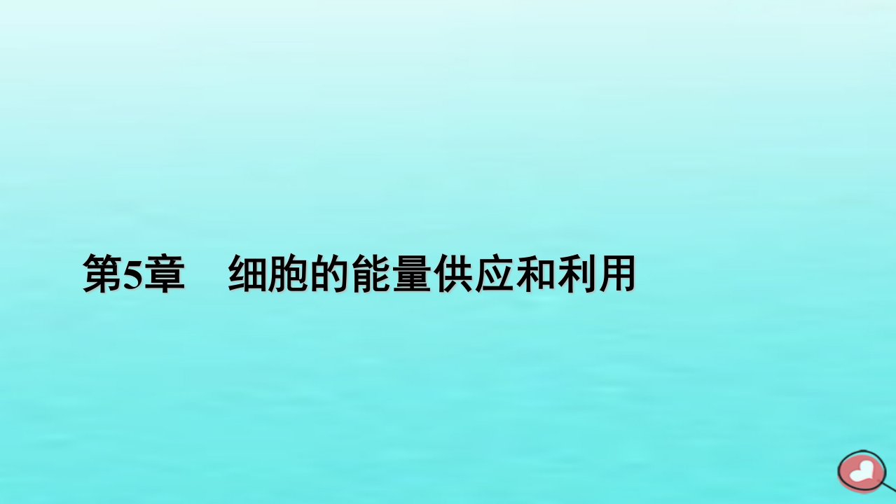 新教材2023年高中生物第5章细胞的能量供应和利用第3节细胞呼吸的原理和应用第2课时无氧呼吸与细胞呼吸原理的应用课件新人教版必修1