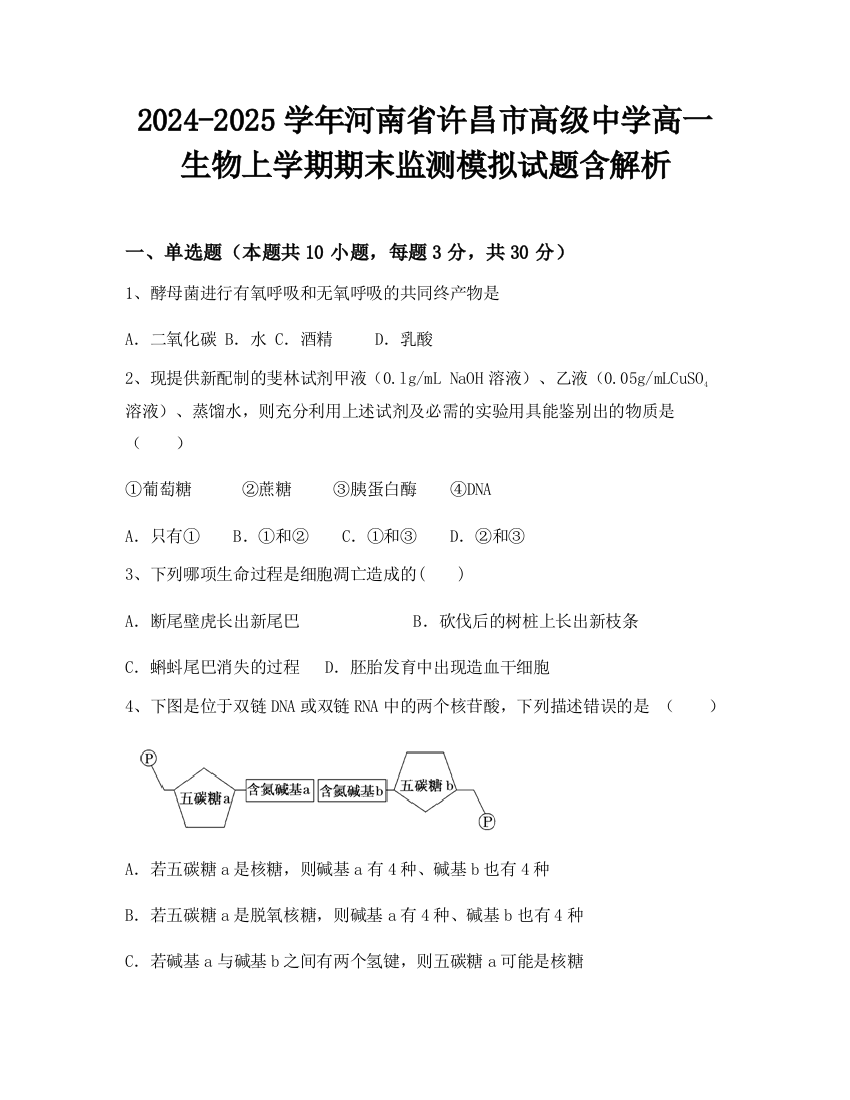 2024-2025学年河南省许昌市高级中学高一生物上学期期末监测模拟试题含解析