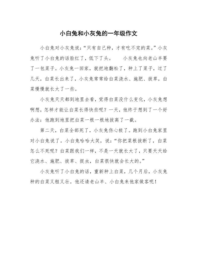 小白兔和小灰兔的一年级作文