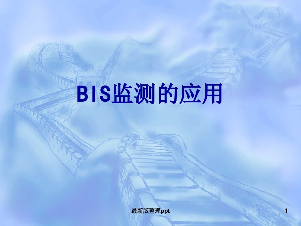 BIS监测ppt课件