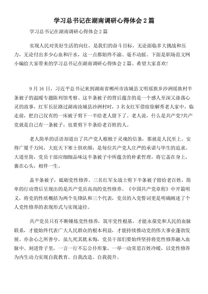 学习总书记在湖南调研心得体会2篇