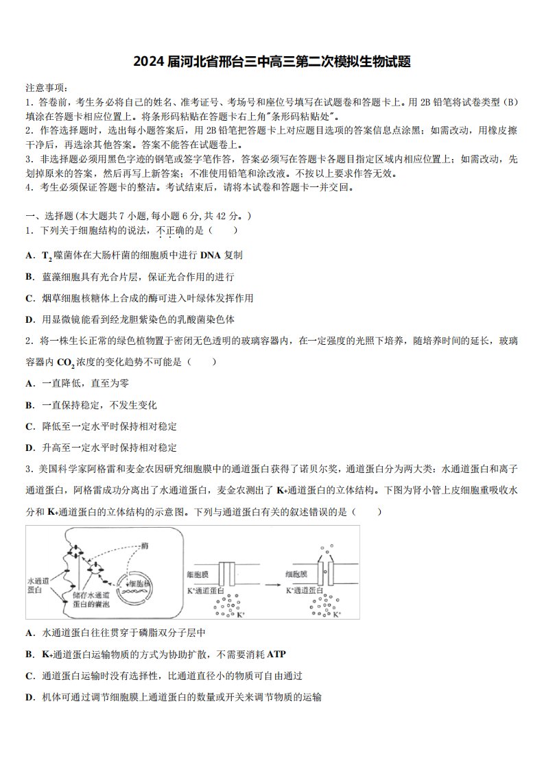 2024届河北省邢台三中高三第二次模拟生物试题含解析