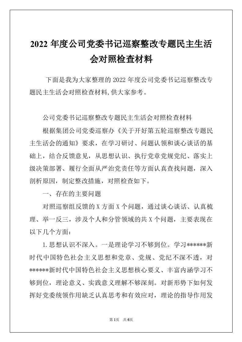 2022年度公司党委书记巡察整改专题民主生活会对照检查材料