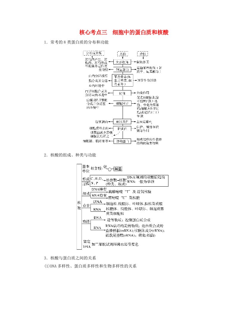 新教材适用2024版高考生物二轮总复习第1部分专题1细胞的物质基础与结构基础第1讲细胞由多种多样的分子组成核心考点三细胞中的蛋白质和核酸教师用书